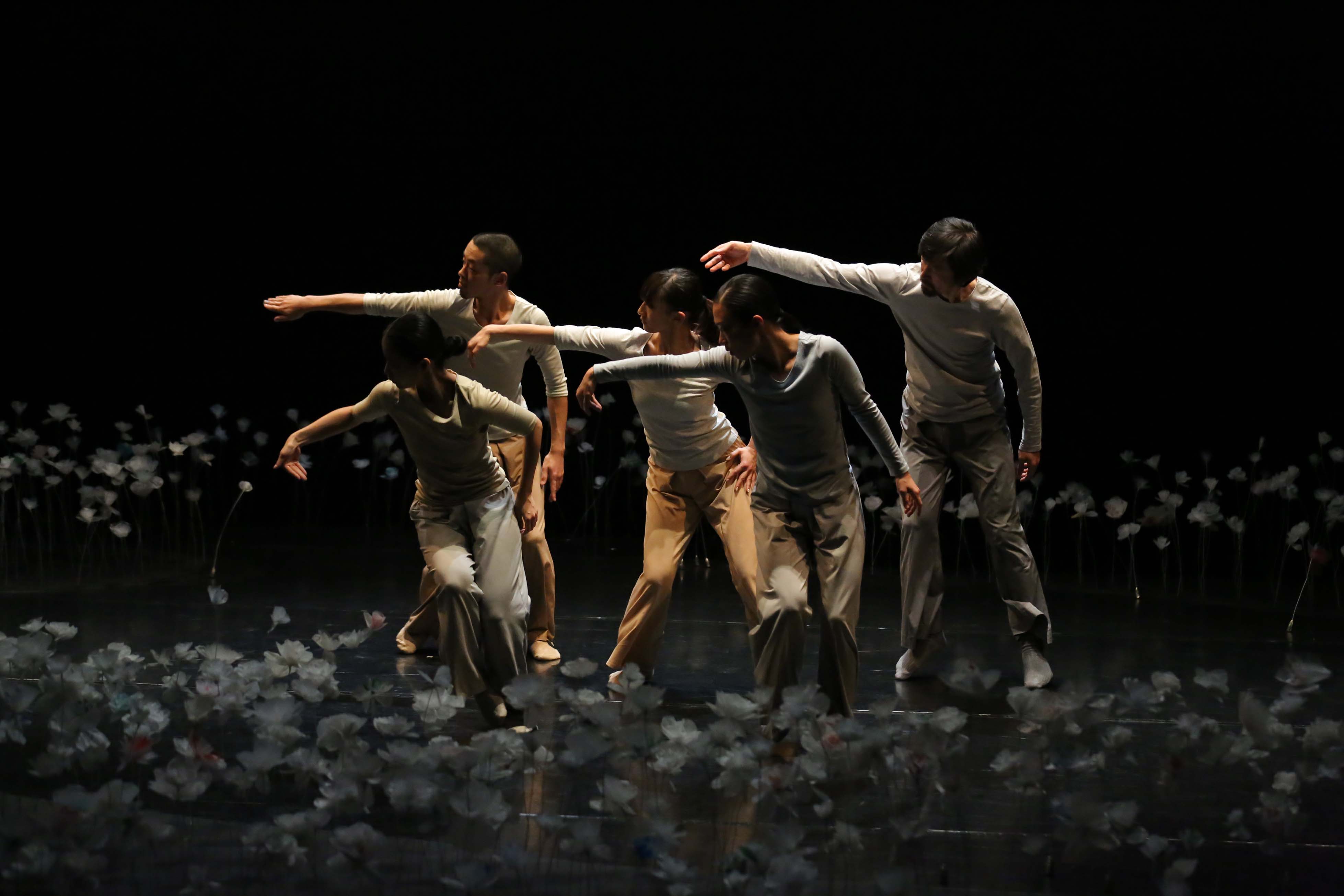 無・音・花 Silent Flower JDTA